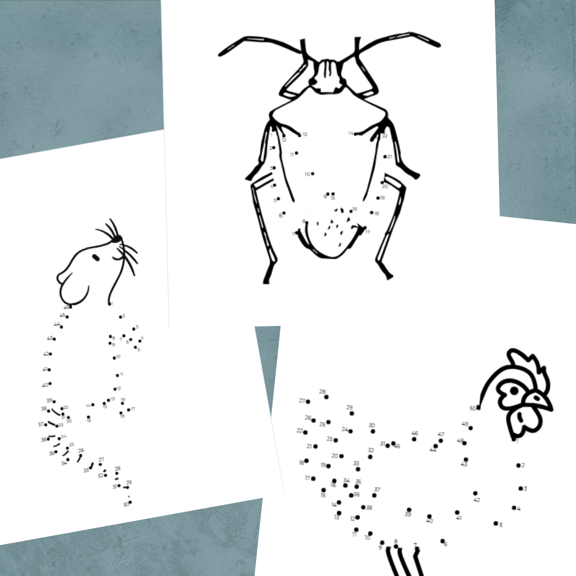 Prick till prick djur. Arbetsblad matematik