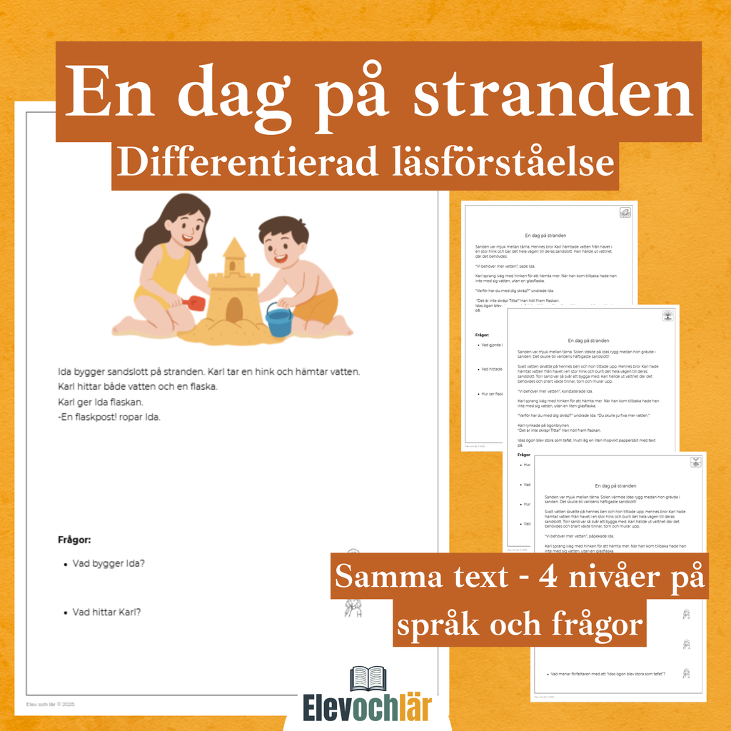 Differentierad läsförståelse - "En dag på stranden", samma berättelse i fyra olika nivåer