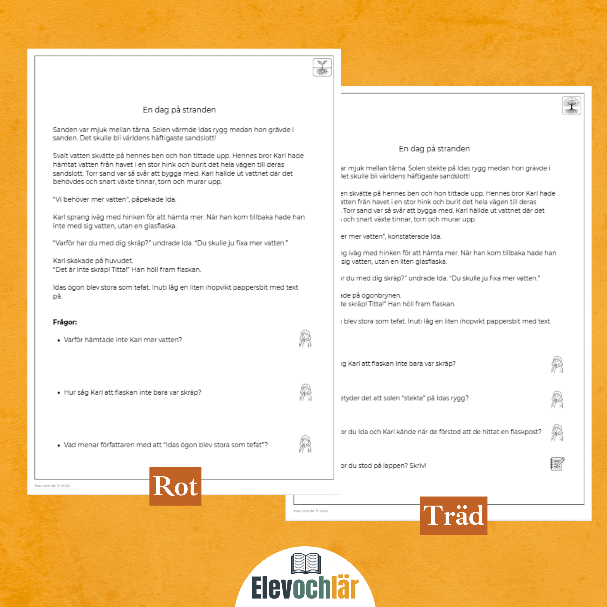 Differentierad läsförståelse - "En dag på stranden", samma berättelse i fyra olika nivåer