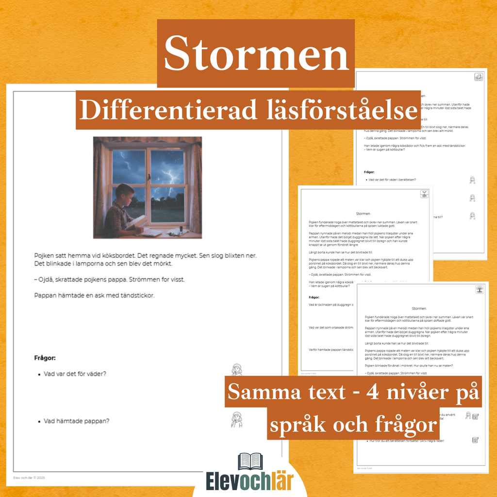 Differentierad läsförståelse - "Stormen", samma berättelse i fyra olika nivåer