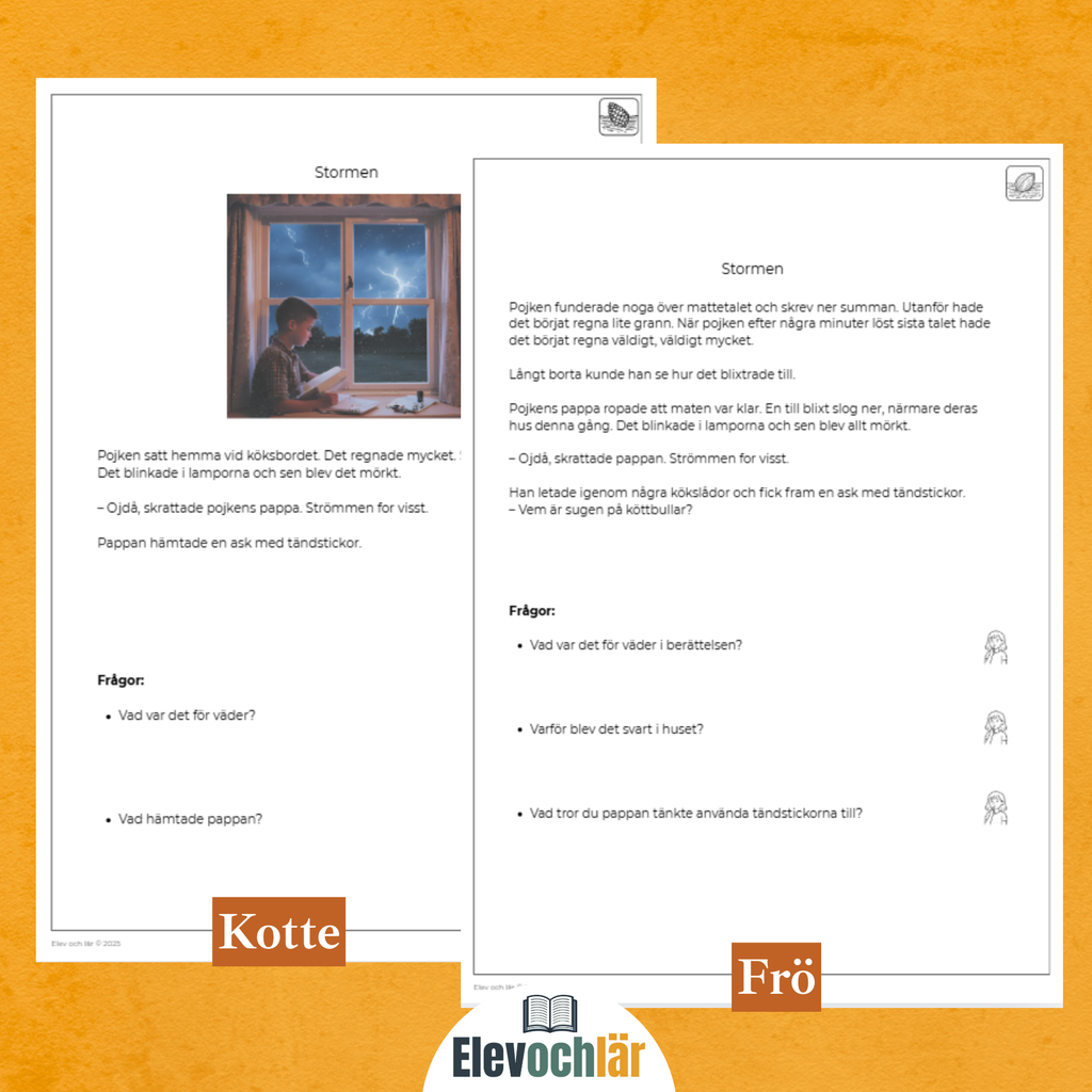 Differentierad läsförståelse - "Stormen", samma berättelse i fyra olika nivåer