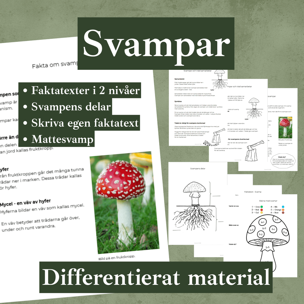 Svampar differentierat material. Faktatexter i två nivåer, svampens delar, mattesvamp, skriva egen faktatext