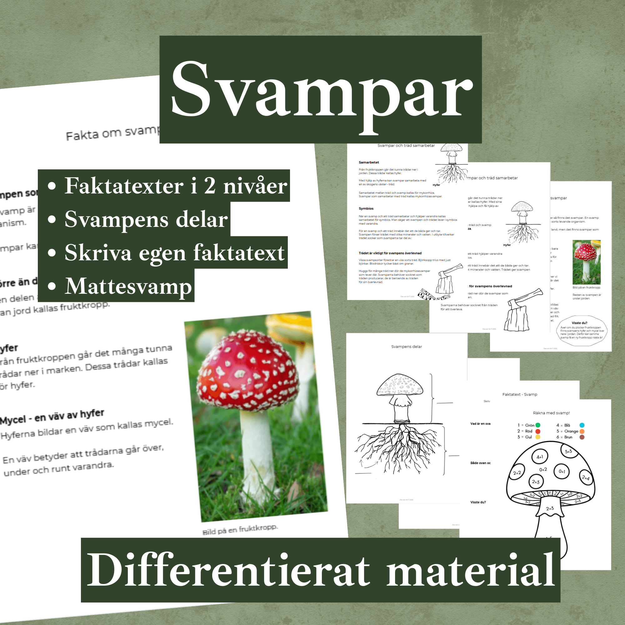Svampar differentierat material. Faktatexter i två nivåer, svampens delar, mattesvamp, skriva egen faktatext