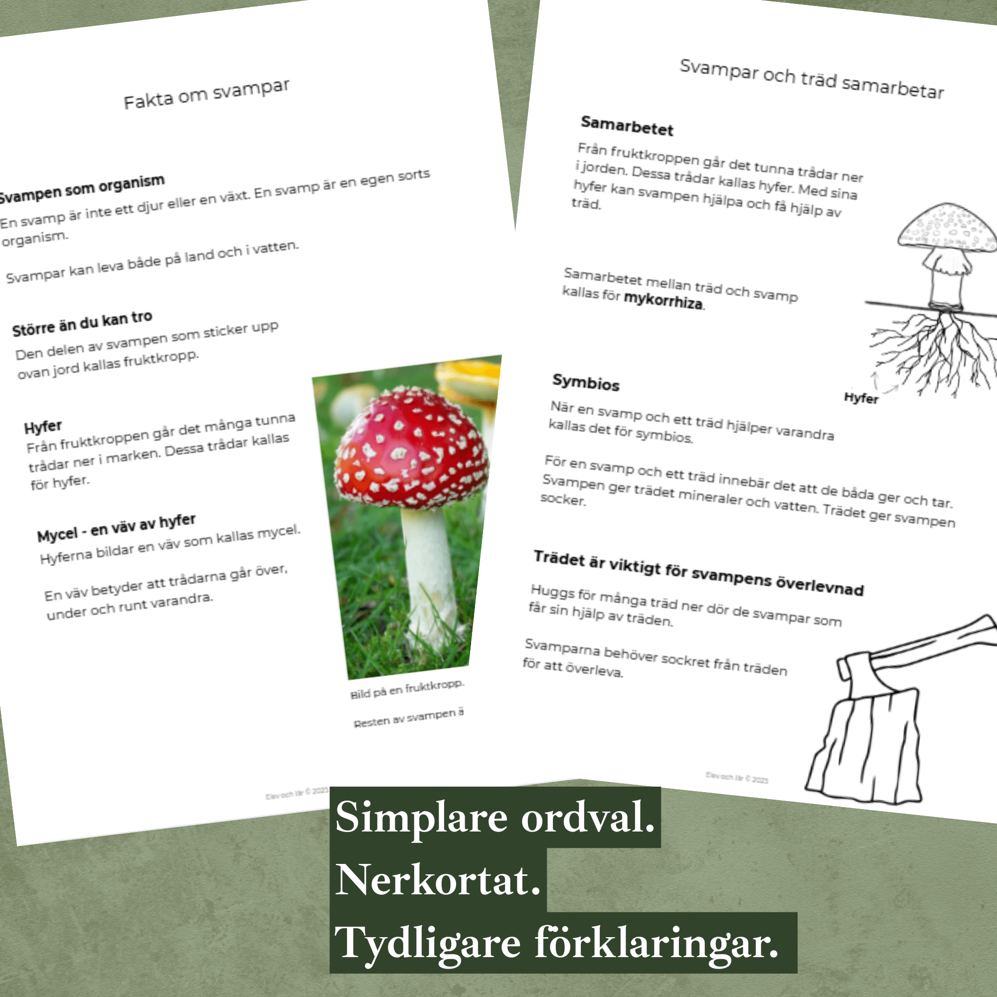 Svampar differentierat material. Faktatexter i två nivåer, svampens delar, mattesvamp, skriva egen faktatext