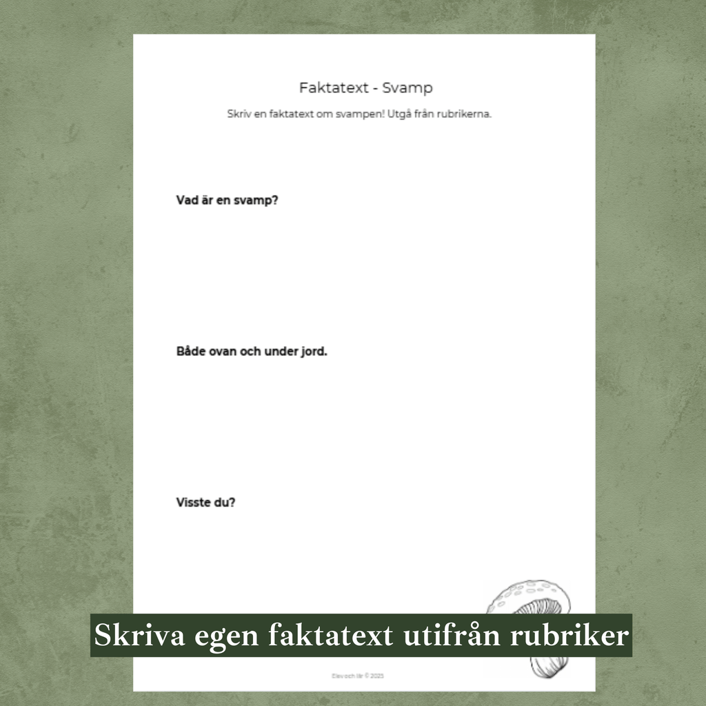 Svampar differentierat material. Faktatexter i två nivåer, svampens delar, mattesvamp, skriva egen faktatext