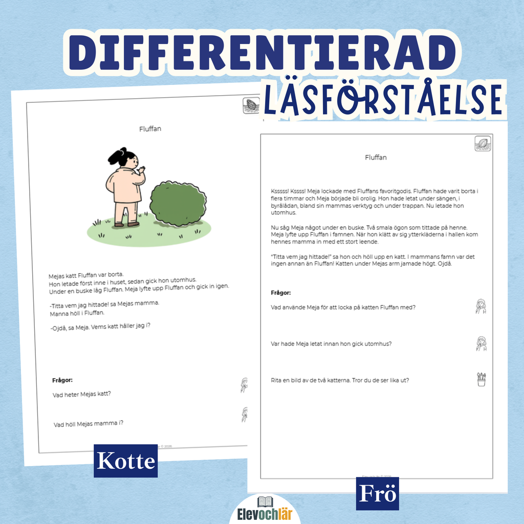 Differentierad läsförståelse - "Fluffan", samma berättelse i fyra olika nivåer