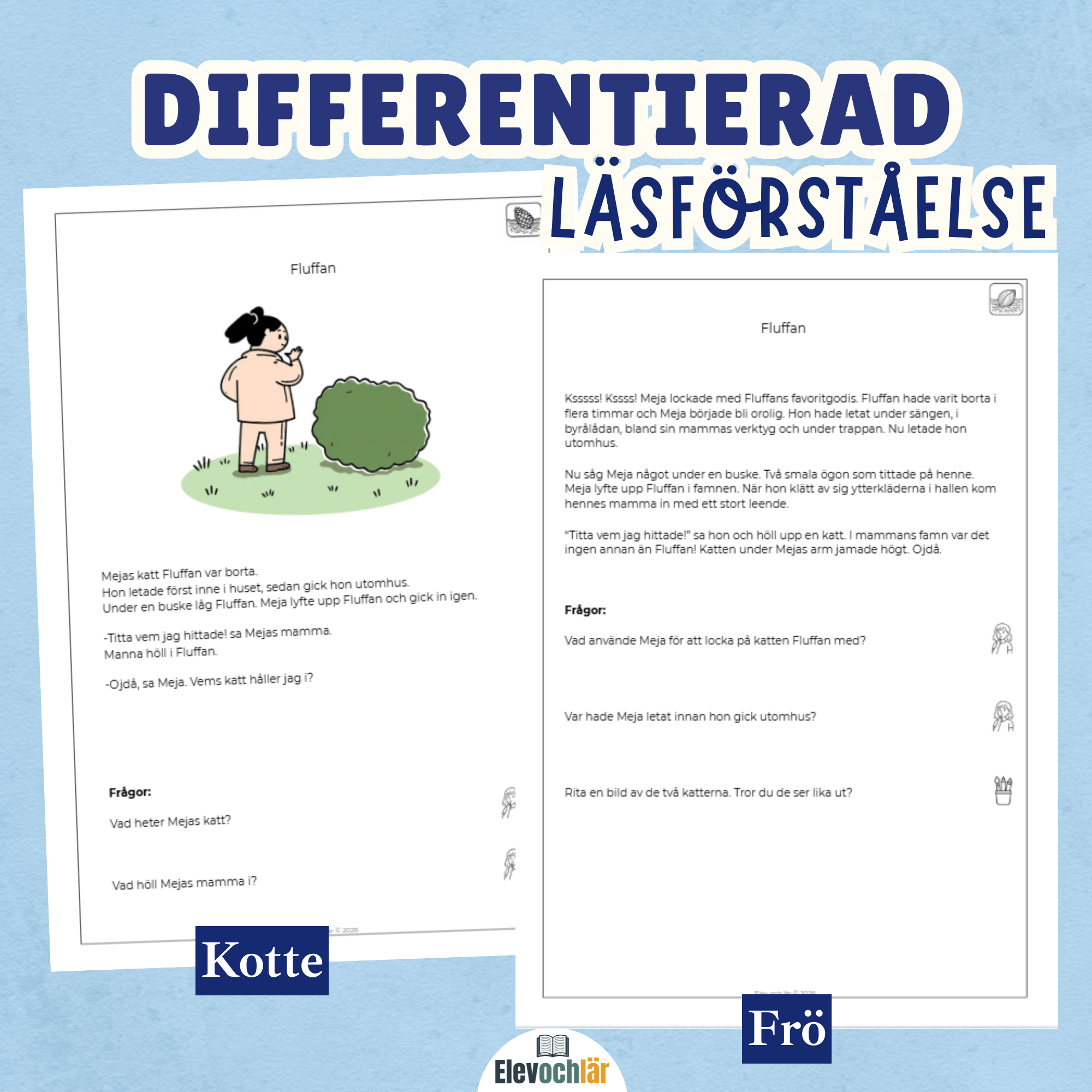 Differentierad läsförståelse - "Fluffan", samma berättelse i fyra olika nivåer