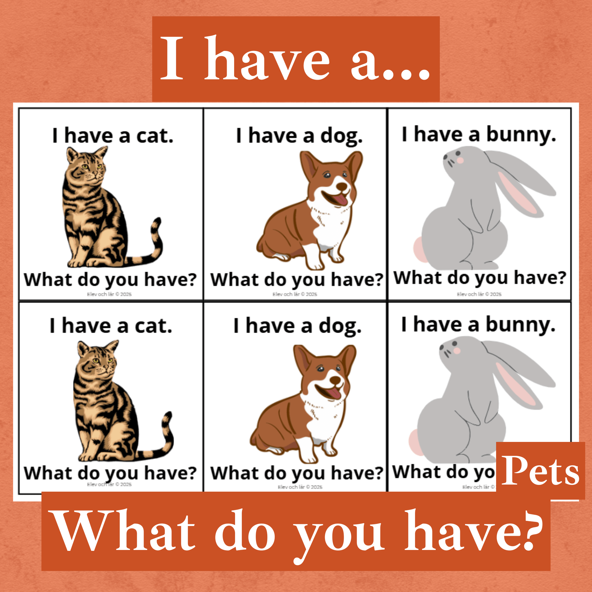 I have a... What do you have? Pets. Engelskalek