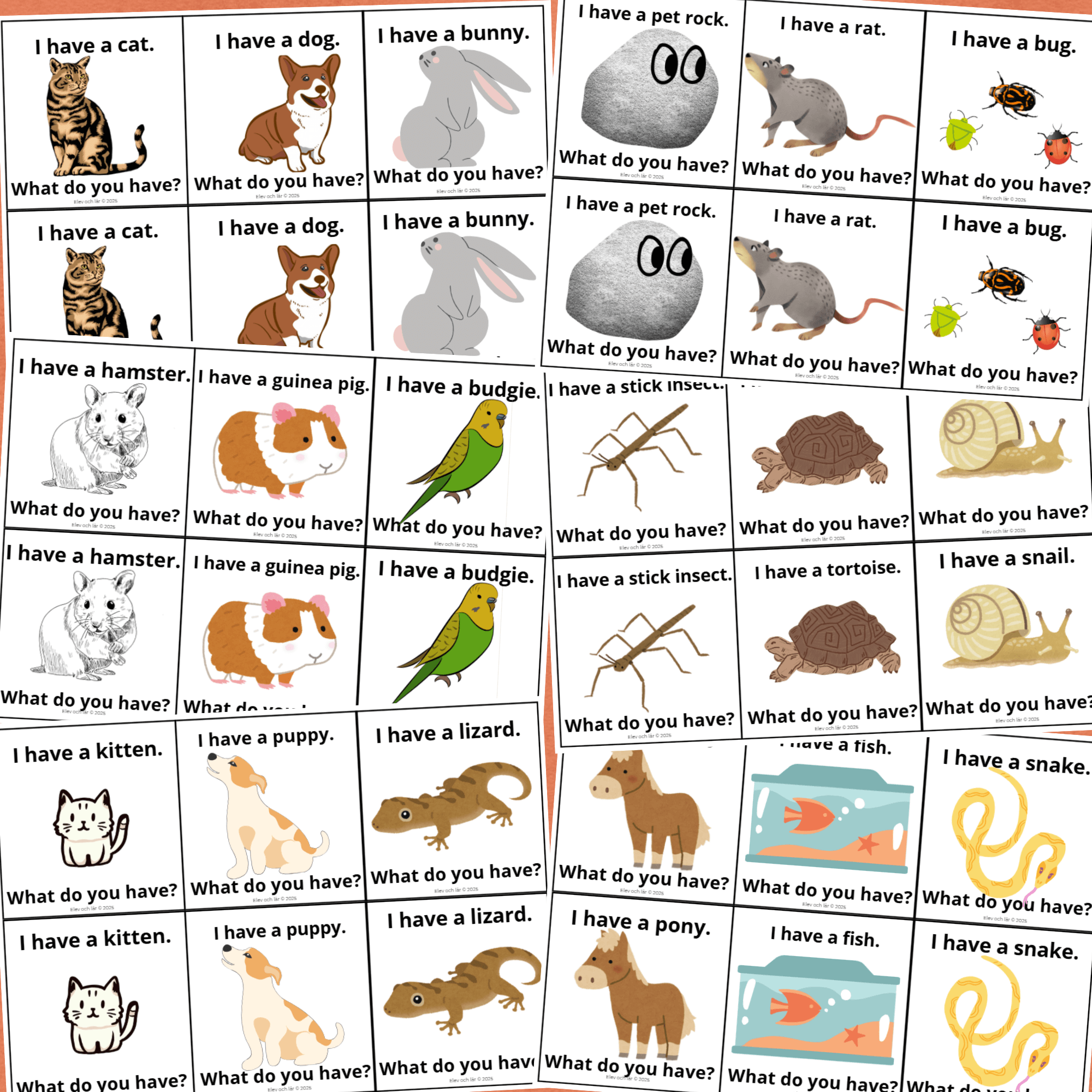 I have a... What do you have? Pets. Engelskalek