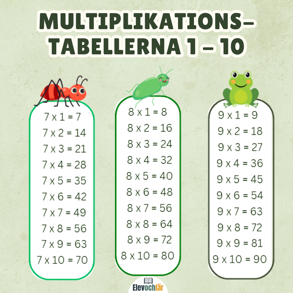 Paket Multiplikation (värde 135kr)