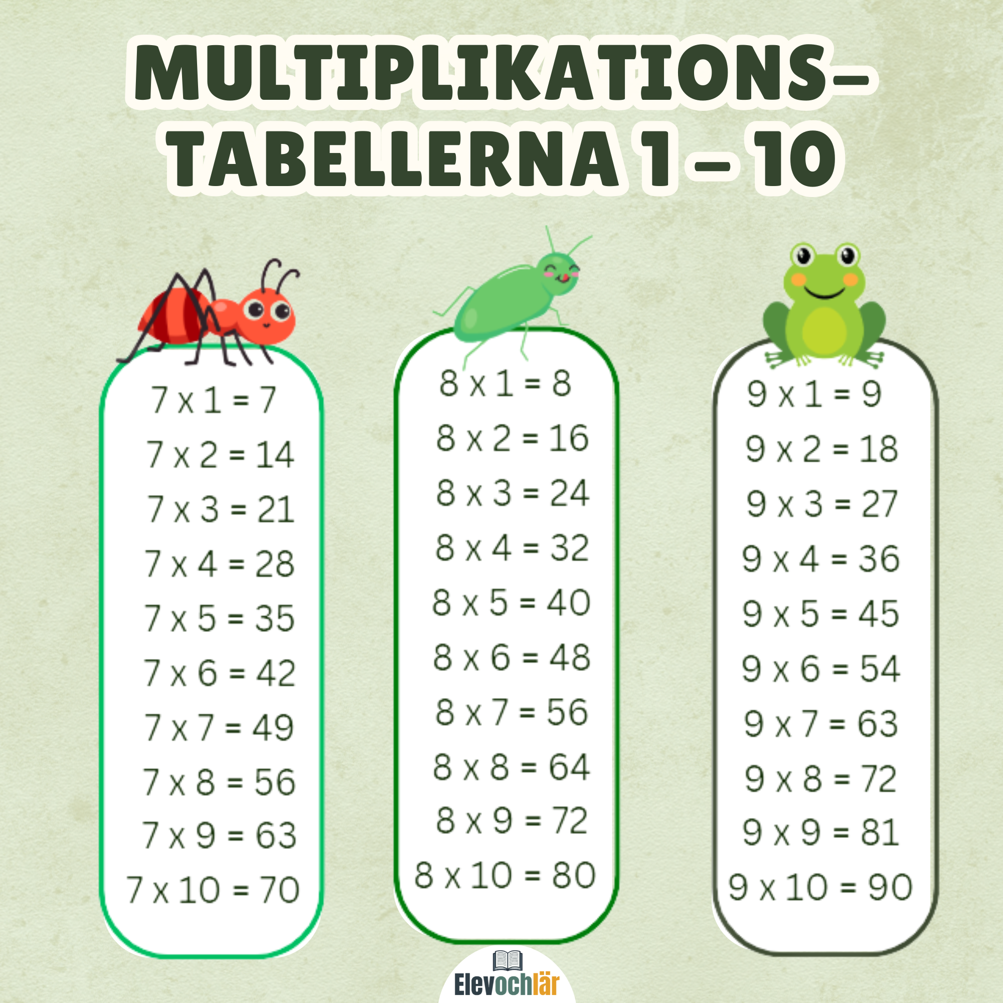 Paket Multiplikation (värde 135kr)