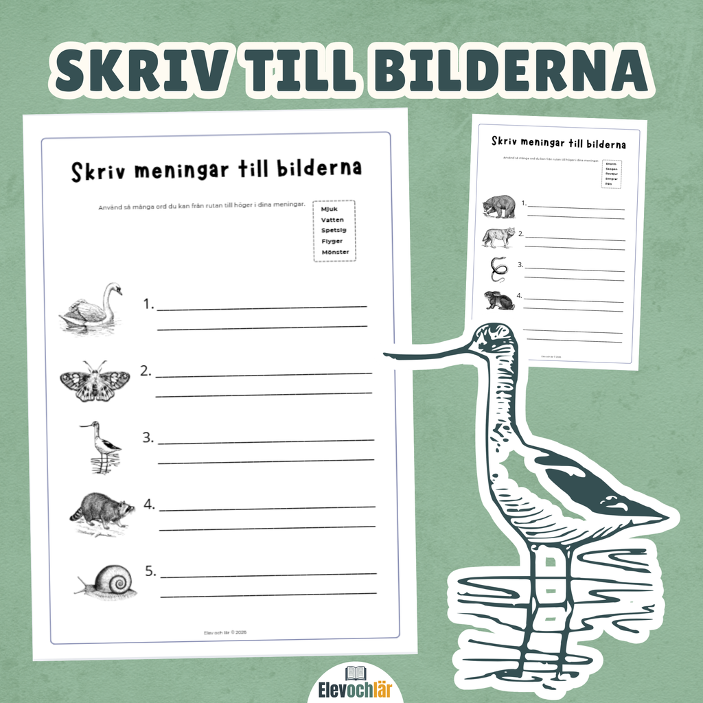 Skriv till bilderna djur - använd ord i dina meningar.
