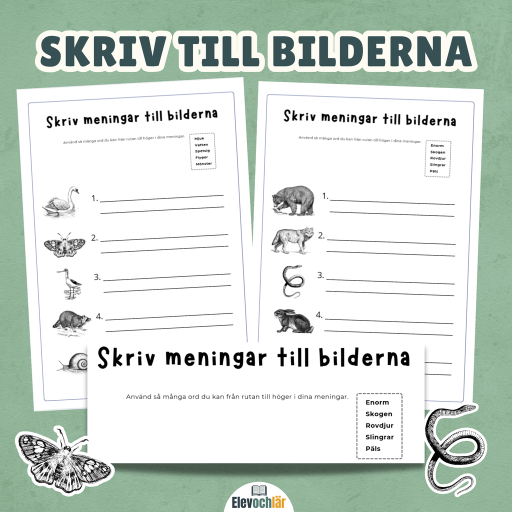 Skriv till bilderna djur - använd ord i dina meningar.