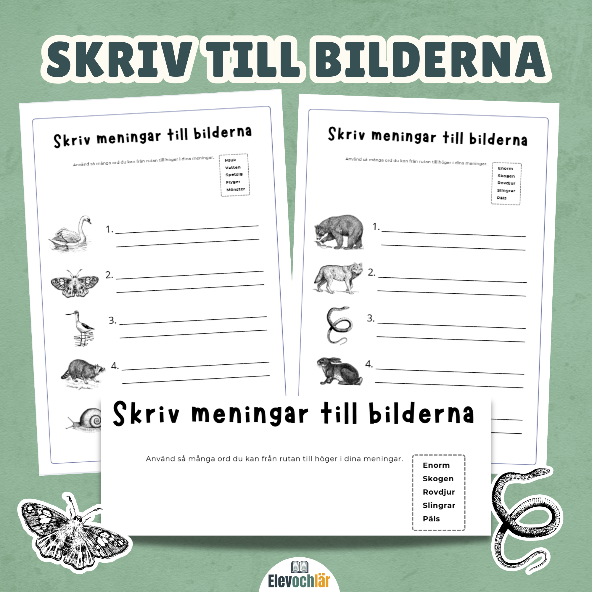 Skriv till bilderna djur - använd ord i dina meningar.