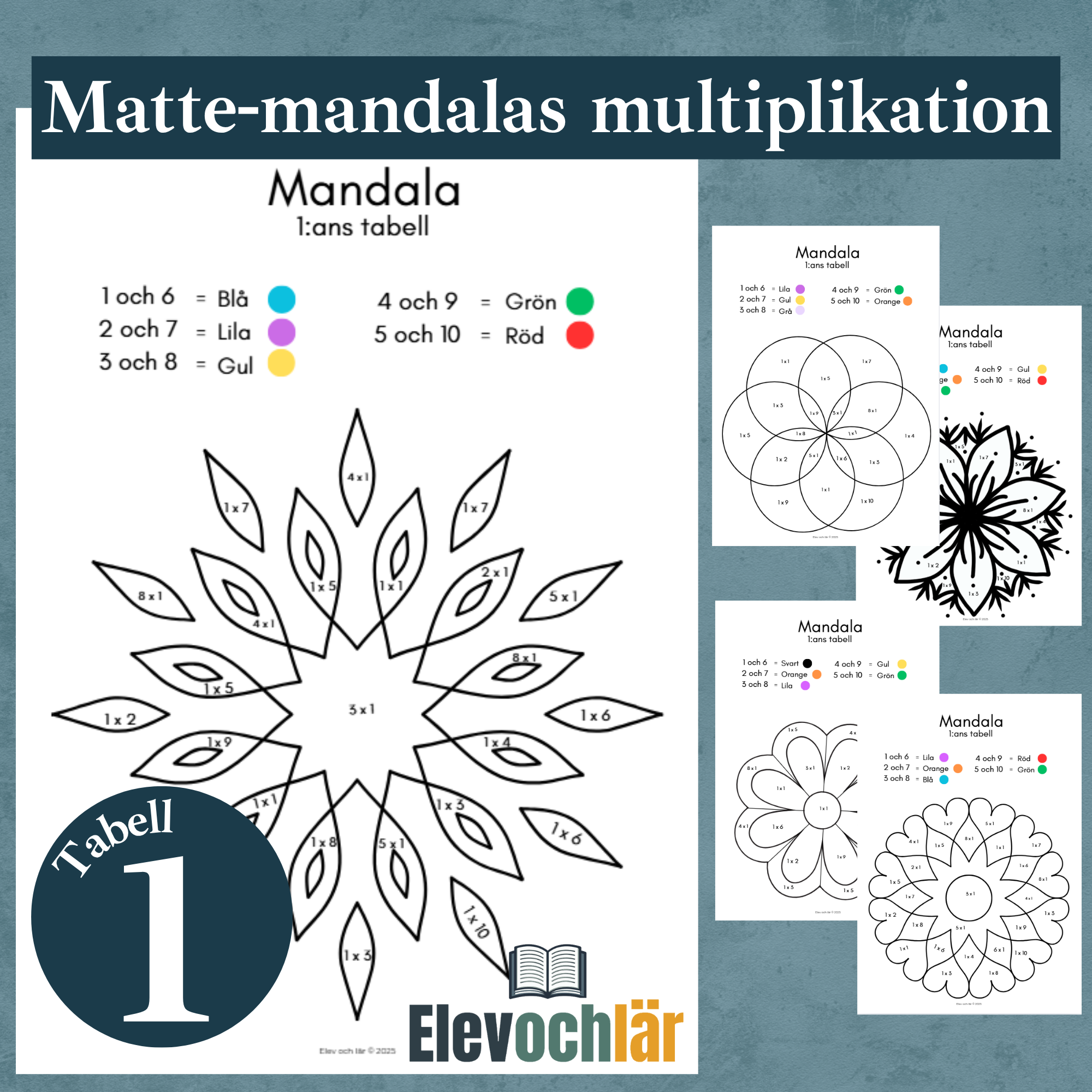 Matte-mandalas 1:ans multiplikationstabell (Fem st)