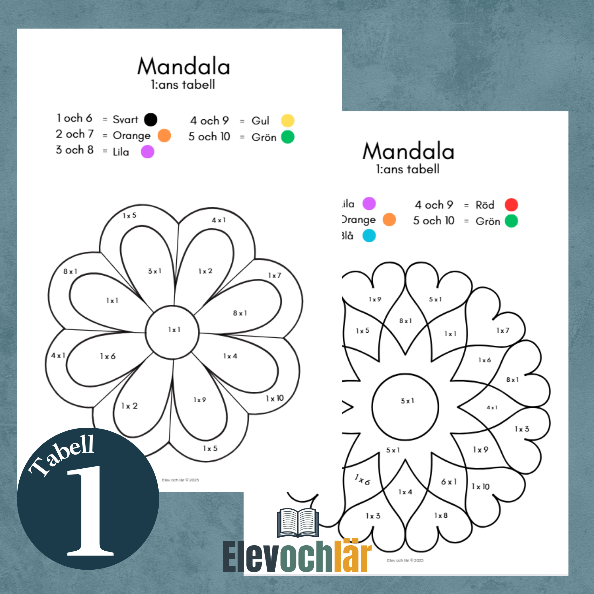 Matte-mandalas 1:ans multiplikationstabell (Fem st)
