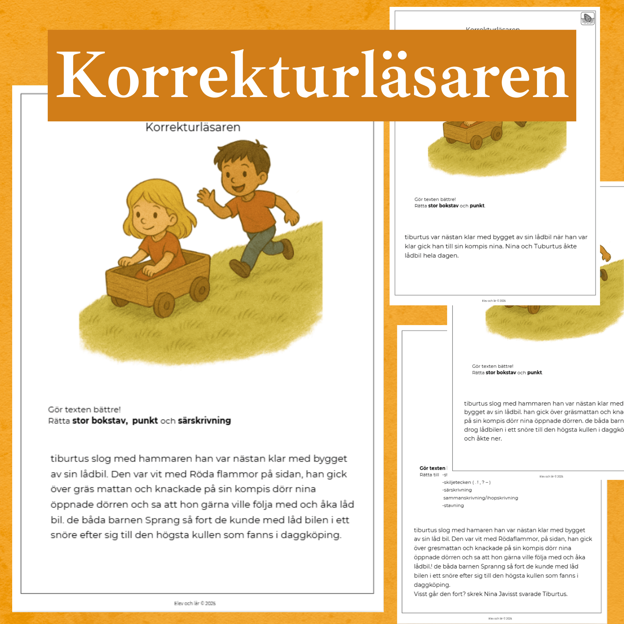 Korrekturläsaren 4 nivåer - Rätta stavfel, stor bokstav, punkt, skiljetecken mm.