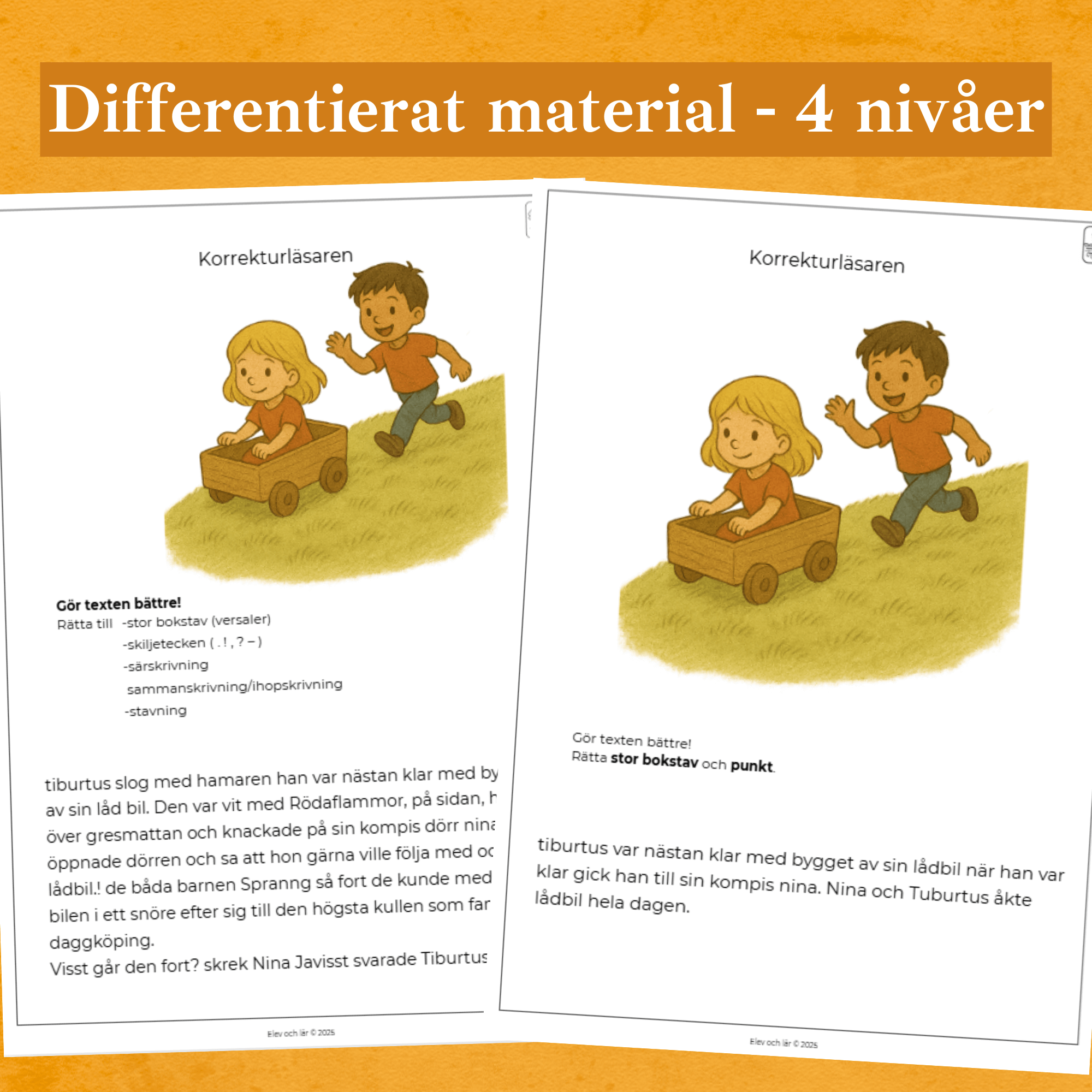 Korrekturläsaren 4 nivåer - Rätta stavfel, stor bokstav, punkt, skiljetecken mm.