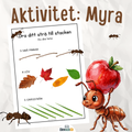 Dra ditt strå till stacken - natur och matteaktivitet