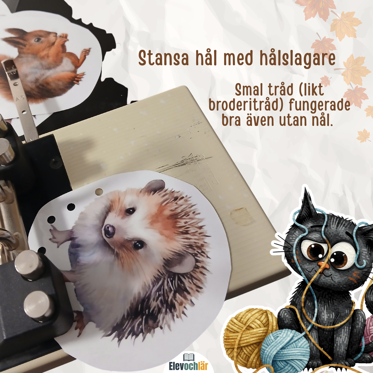 Sykort med hösttema. Ha syslöjd i klassrummet
